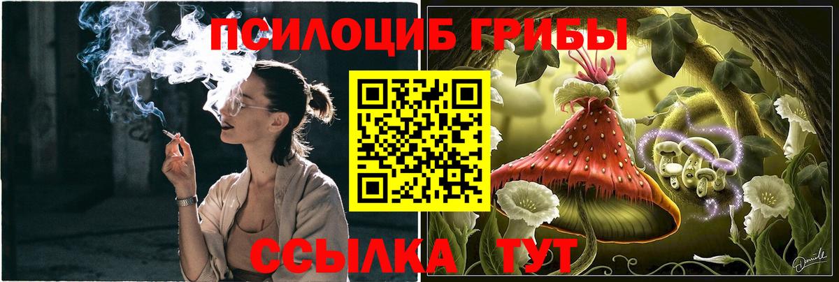 Галлюциногенные грибы Cubensis  Вход с VPN  Галлюциногенные грибы MAGIC MUSHROOMS  Кашира 